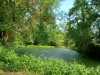 IMG-20230530-WA0000